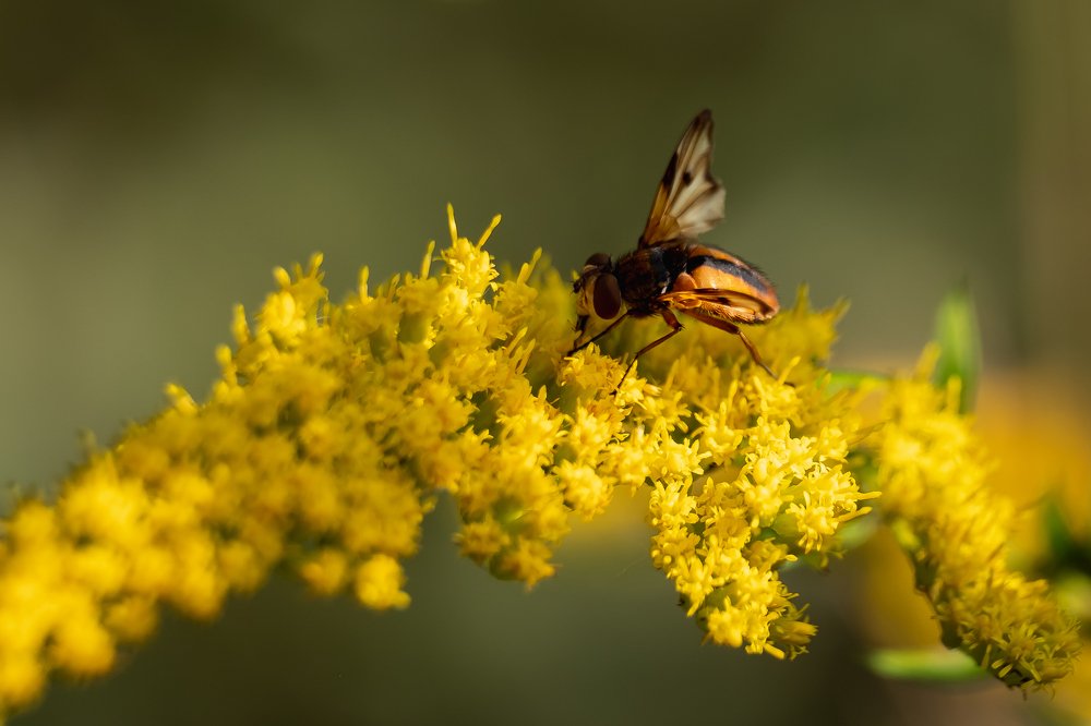 Photograph by Алексей Баженов