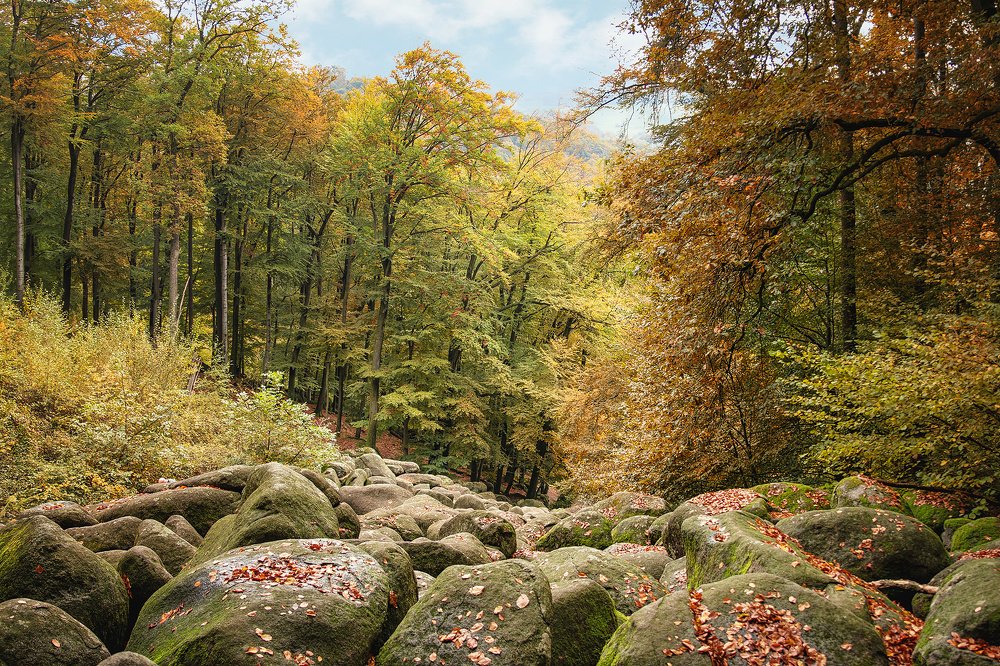 Photograph by Markus Bieck