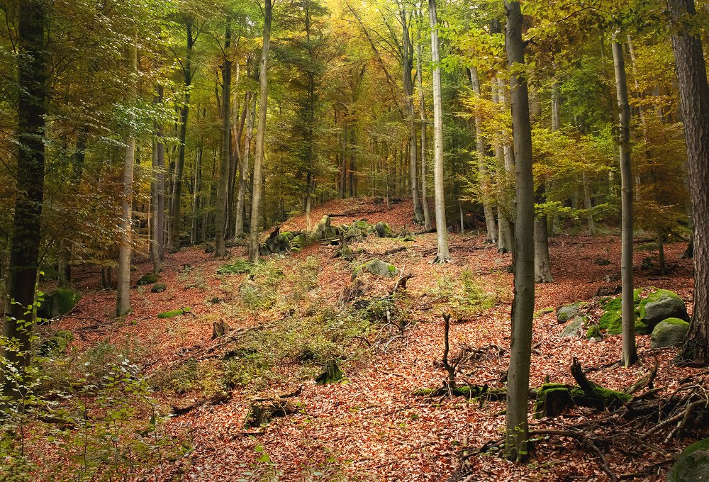 Photograph by Markus Bieck