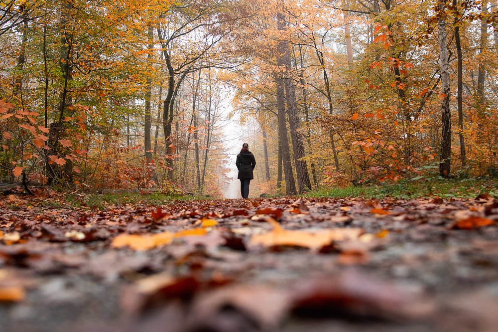 Photograph by Markus Bieck