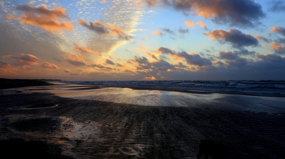 Фотография автора Ольга Завадилика