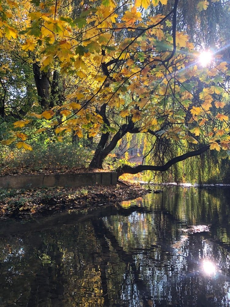 Photograph by Анатолий Андреев