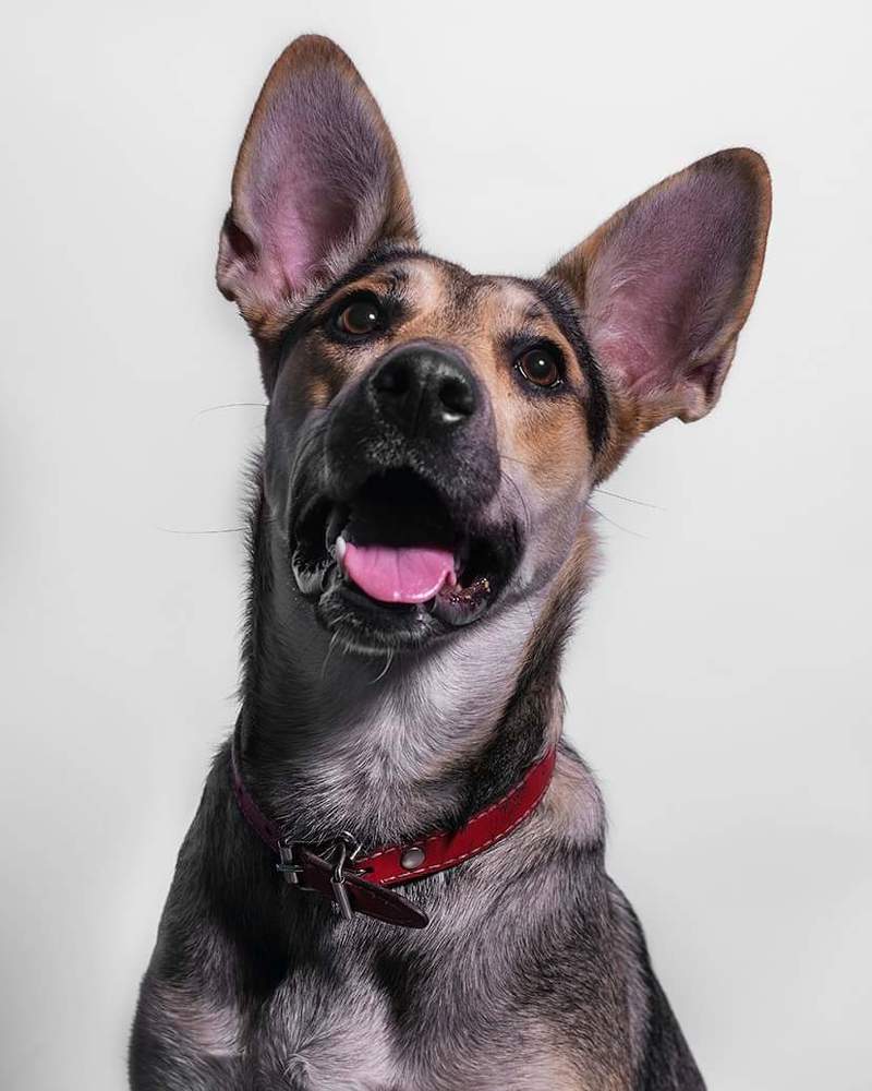 Photograph by Janusz Osika