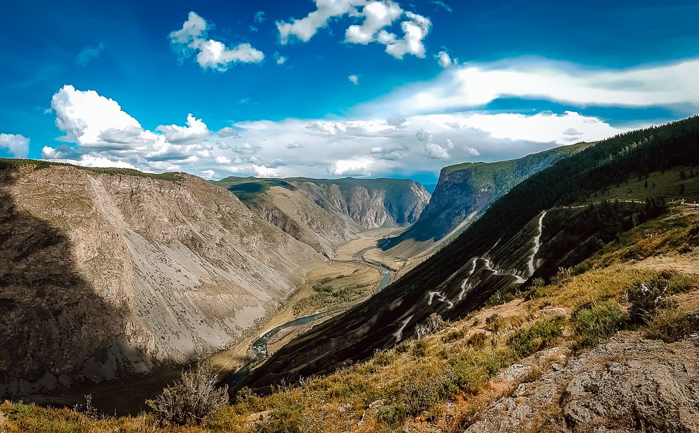 Фотография автора Светлана Лапина