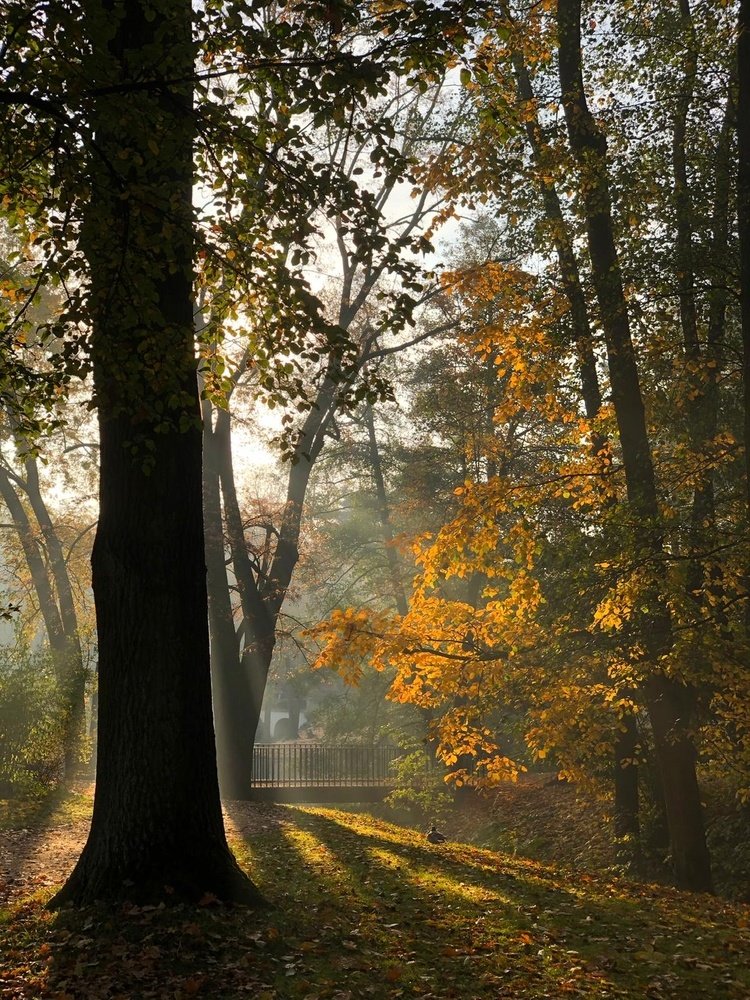 Photograph by Анатолий Андреев