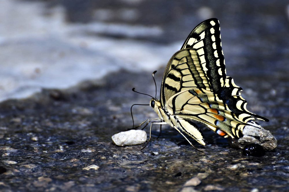 Photograph by Monika Biolik