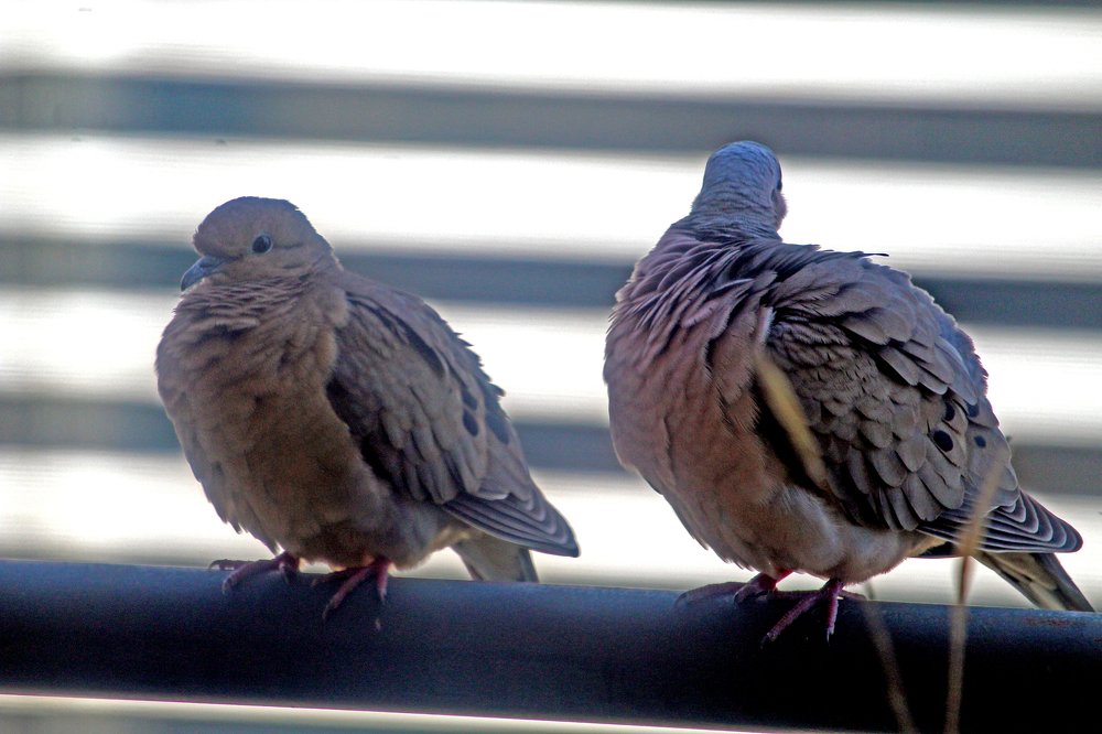 Photograph by Diego Maximiliano Giubergia