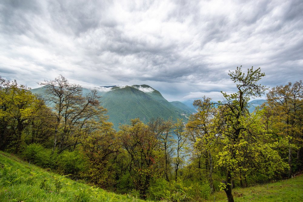 Photograph by Евгения Тарасова