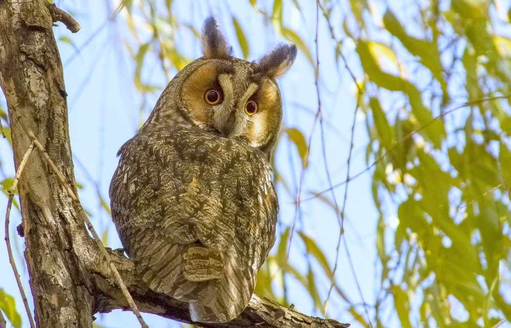 Photograph by Александр