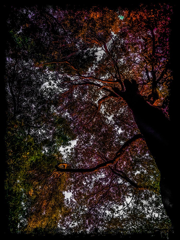 Photograph by Houda Kabbara