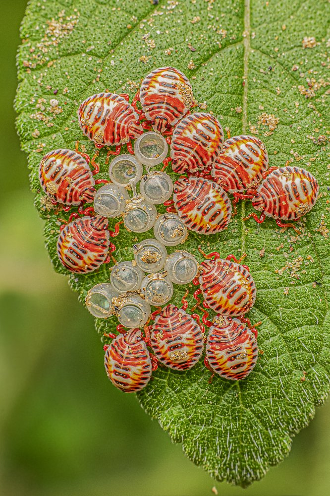 Photograph by Mukesh Tripathi