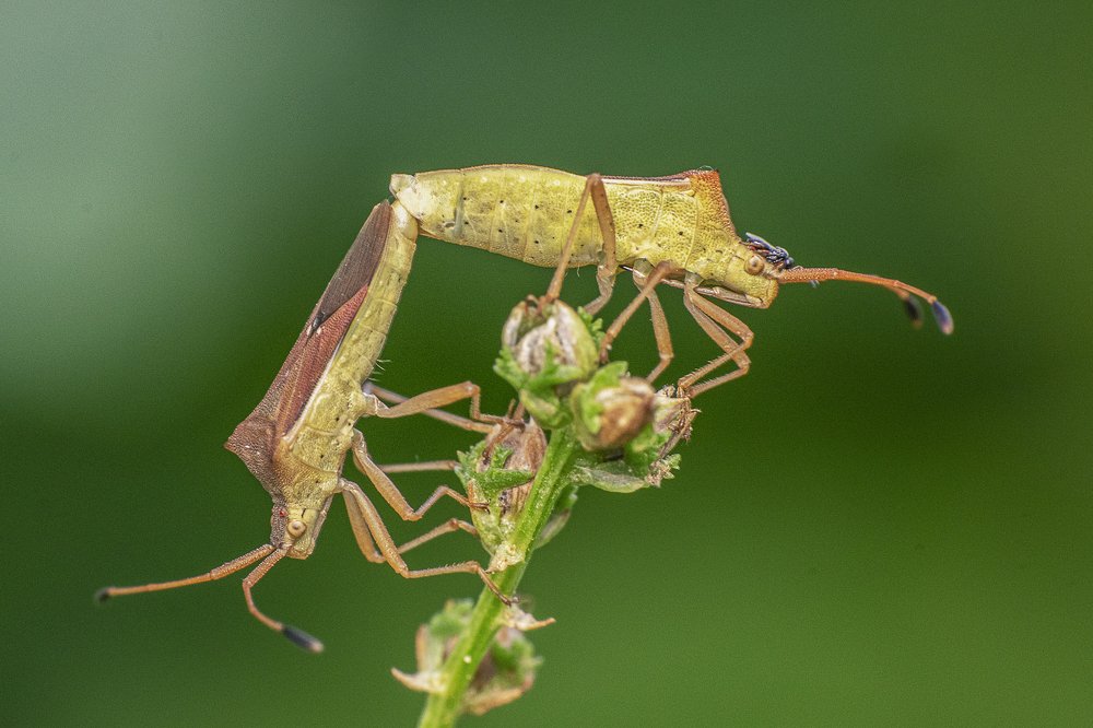 Photograph by Mukesh Tripathi