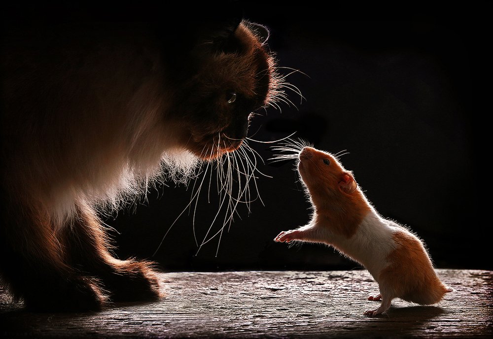 Photograph by Alexander Sviridov