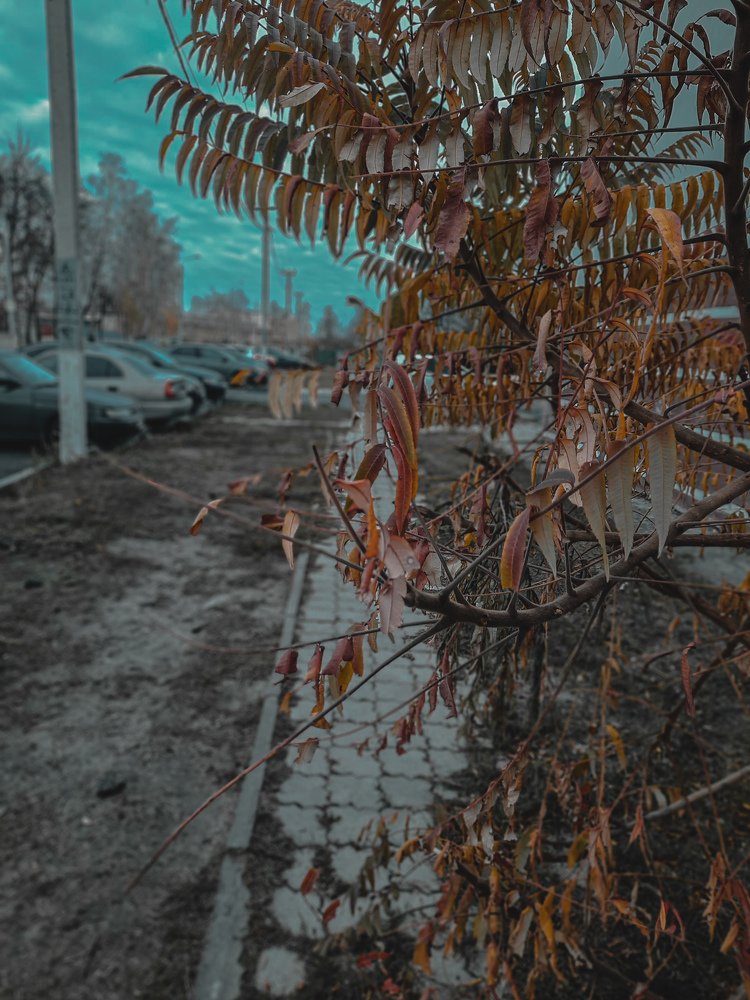 Photograph by Егор Андреев