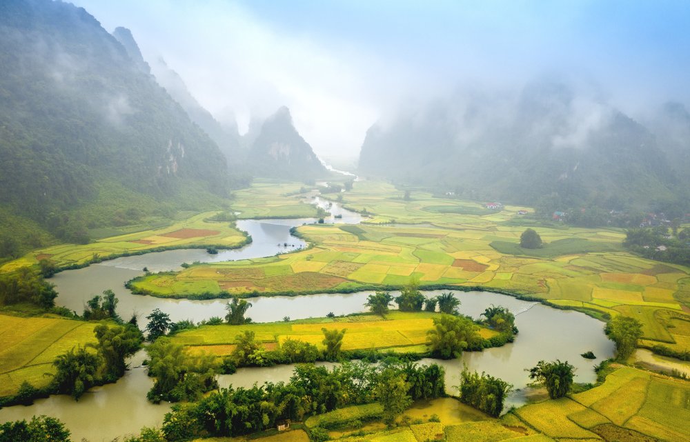 Photograph by Quang Nguyen Dang