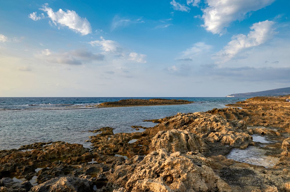 Photograph by Elena Turkov