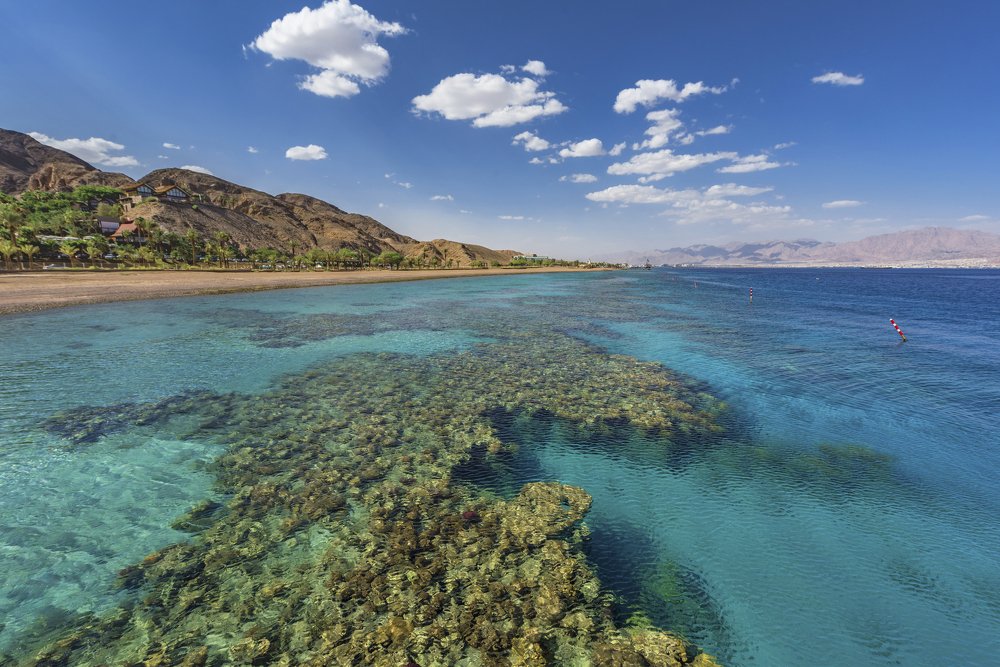 Photograph by Elena Turkov