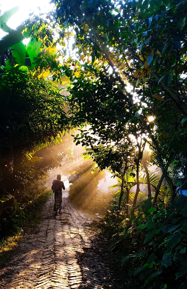 Photograph by Sheikh Md. Ebrahim