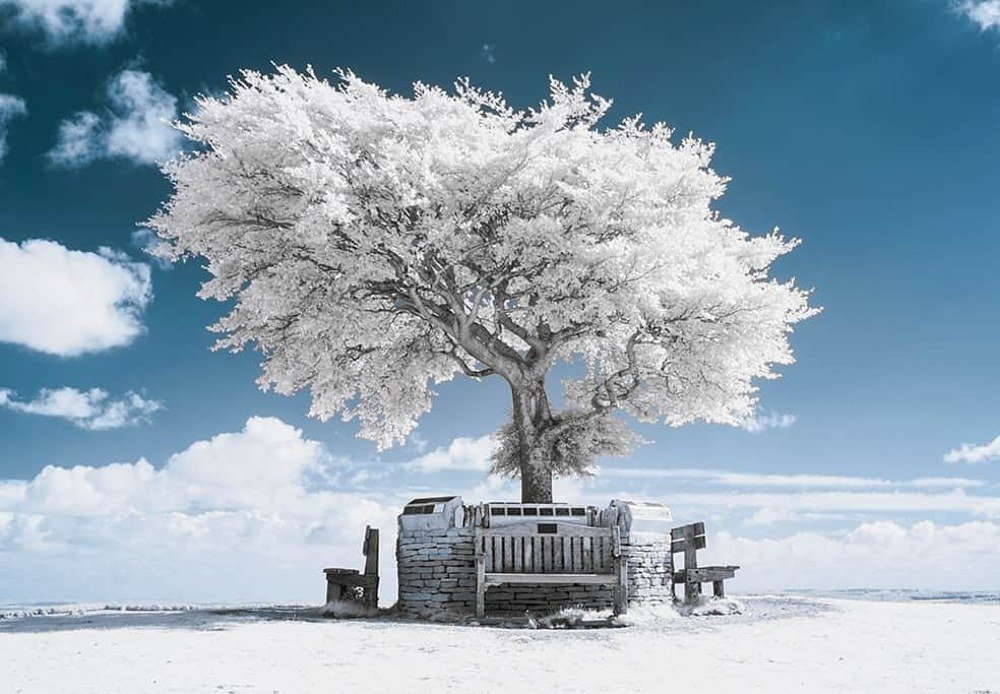 Photograph by Colin Davidson