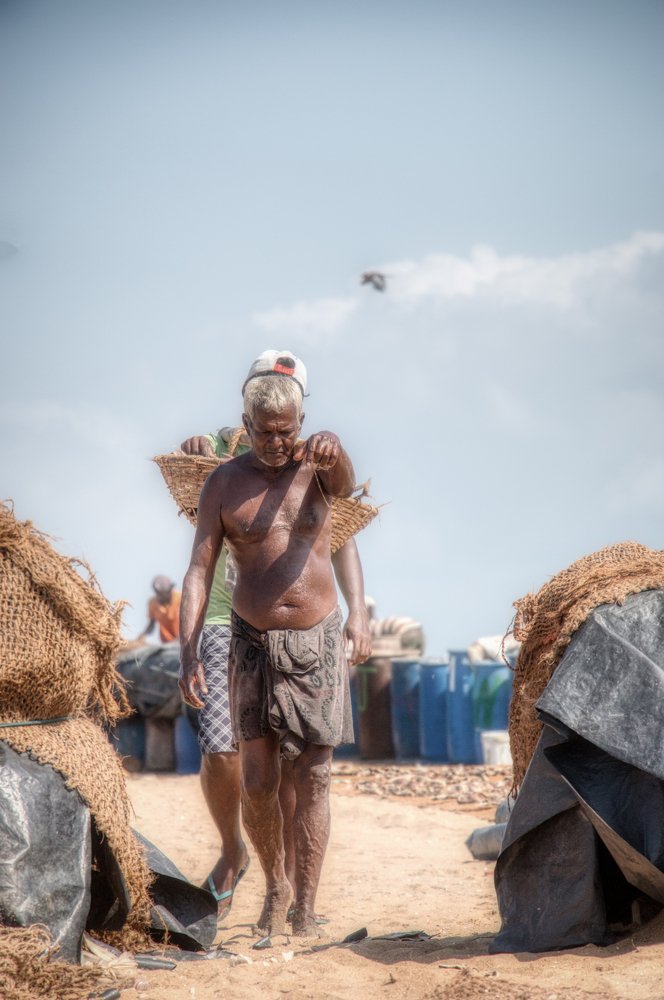 Photograph by Prabath Mihiran Rodrigo Witharanage