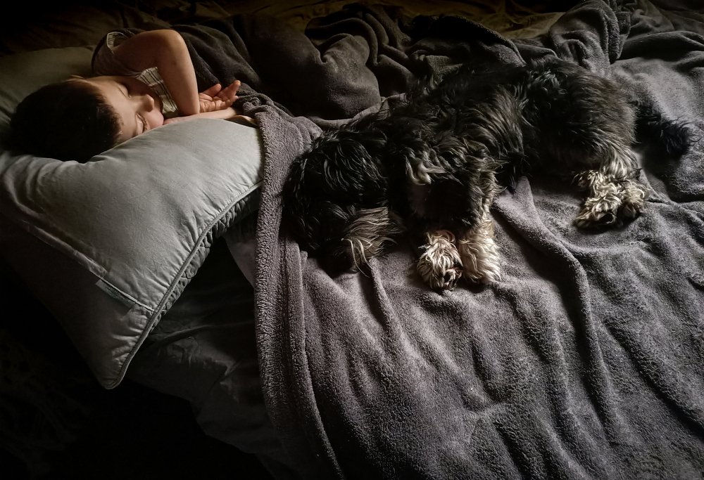 Фотография автора Степан Филев