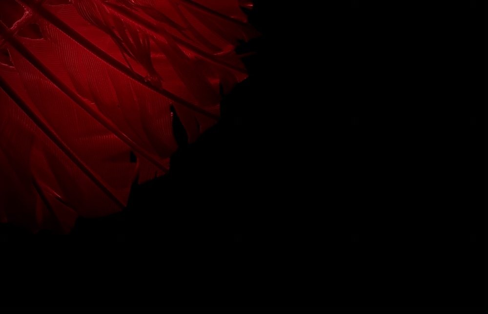 Photograph by Serhii Zaikovskyi