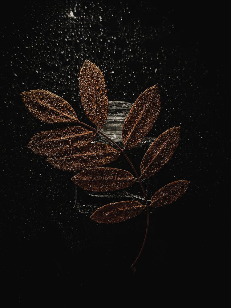 Photograph by Наталья Мищенко