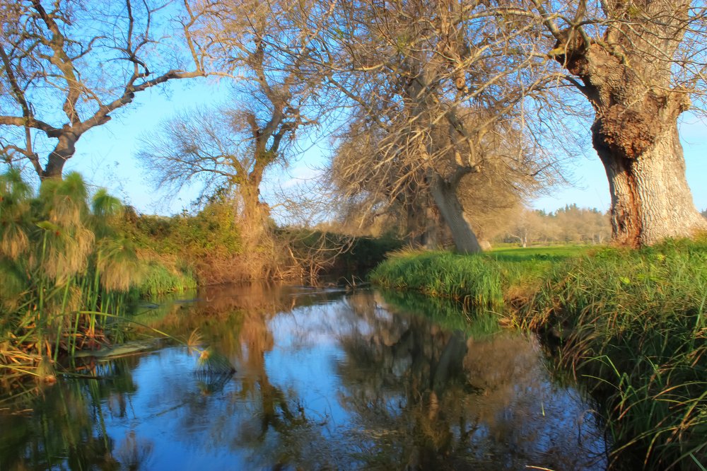 Photograph by Maria Cristina Artale