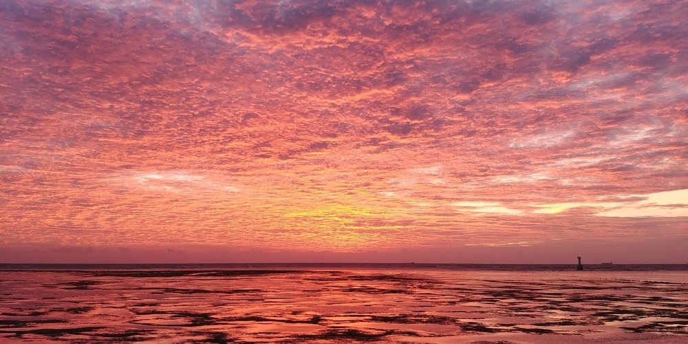 Фотография автора Mori Haos