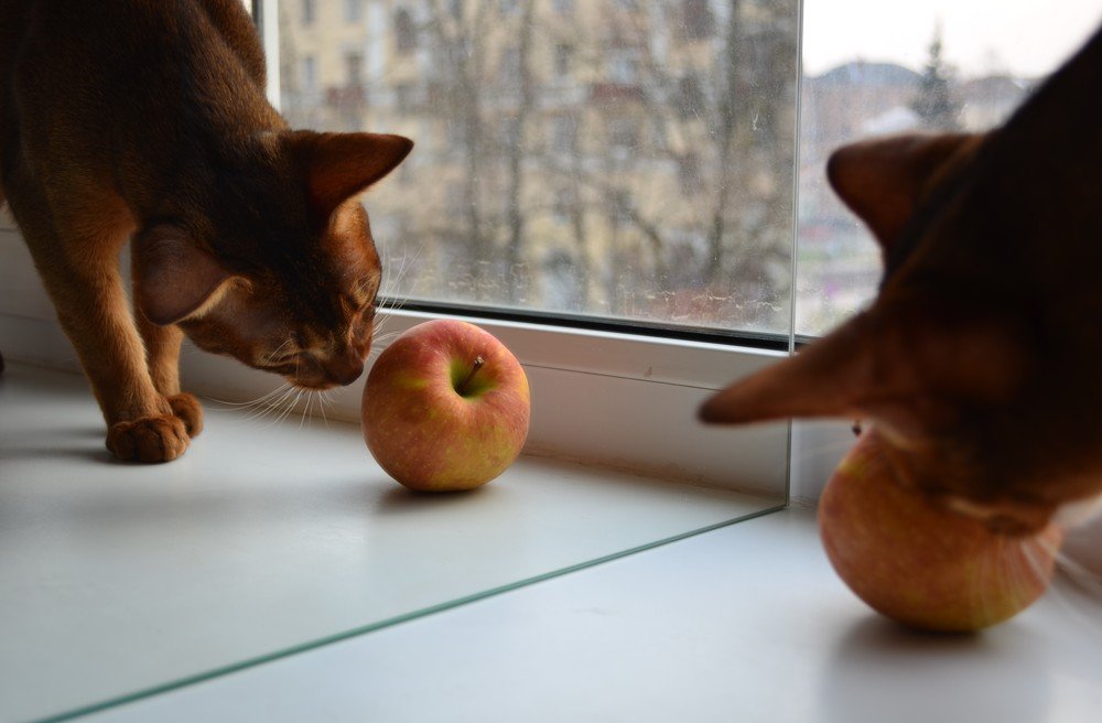 Photograph by Наталия Анущенко