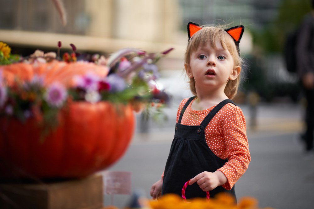 Photograph by Karyakin Anton