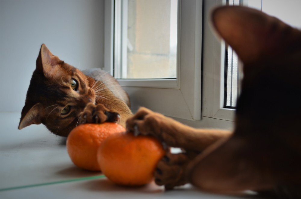 Photograph by Наталия Анущенко