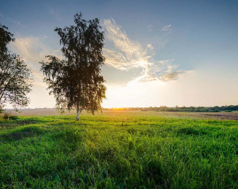 Photograph by Алексей Головнёв