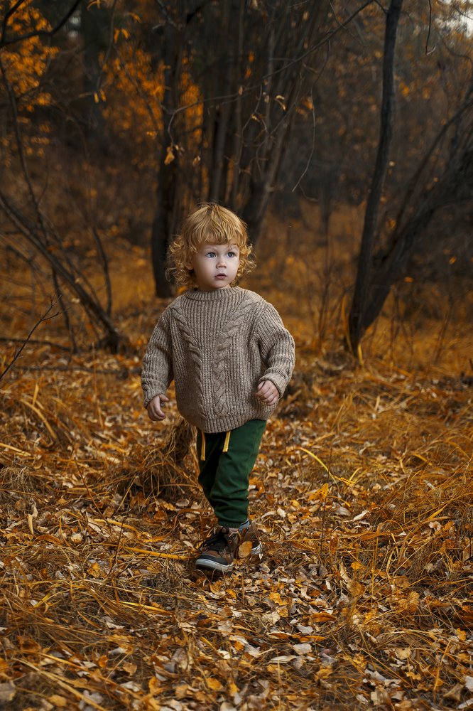 Там на неведомых дорожках следы невидомых зверей