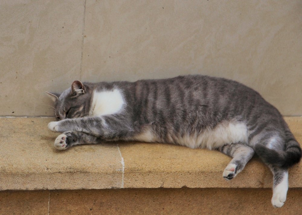 Photograph by Владимир Осипов