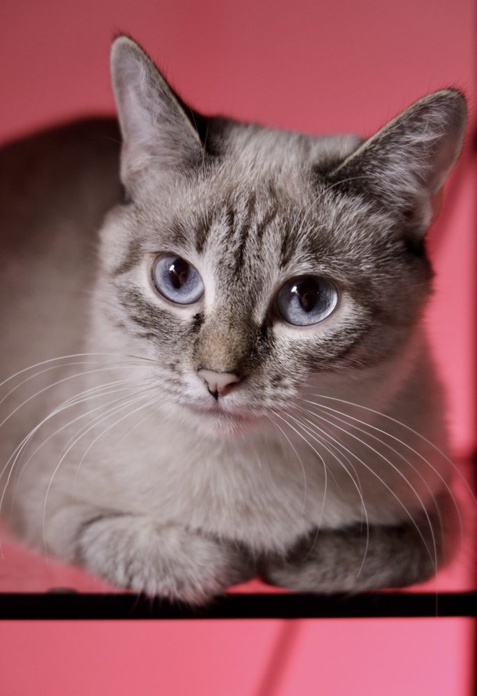 Photograph by Лиана Галанова