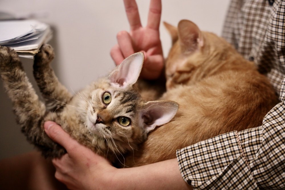 Photograph by Лиана Галанова