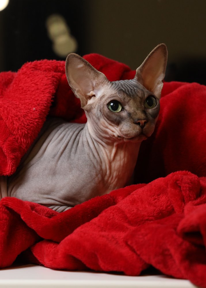 Photograph by Лиана Галанова