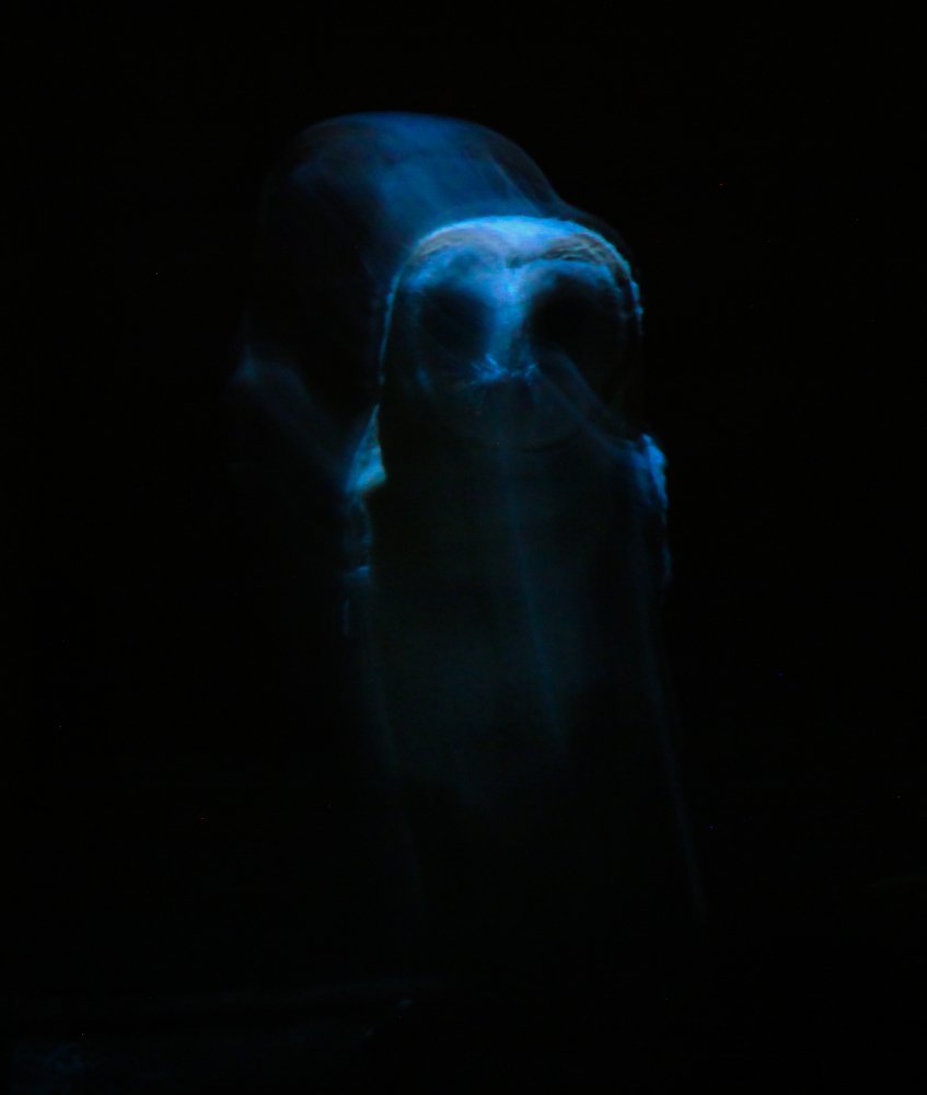 Photograph by Amar Vedula