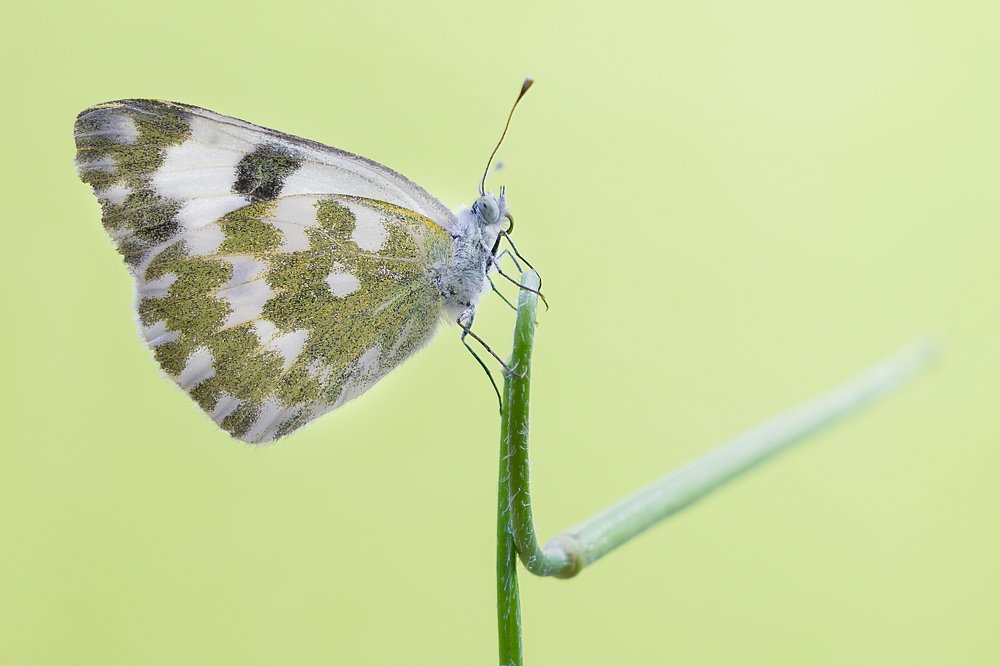 Photograph by Mahdi Sarikhani