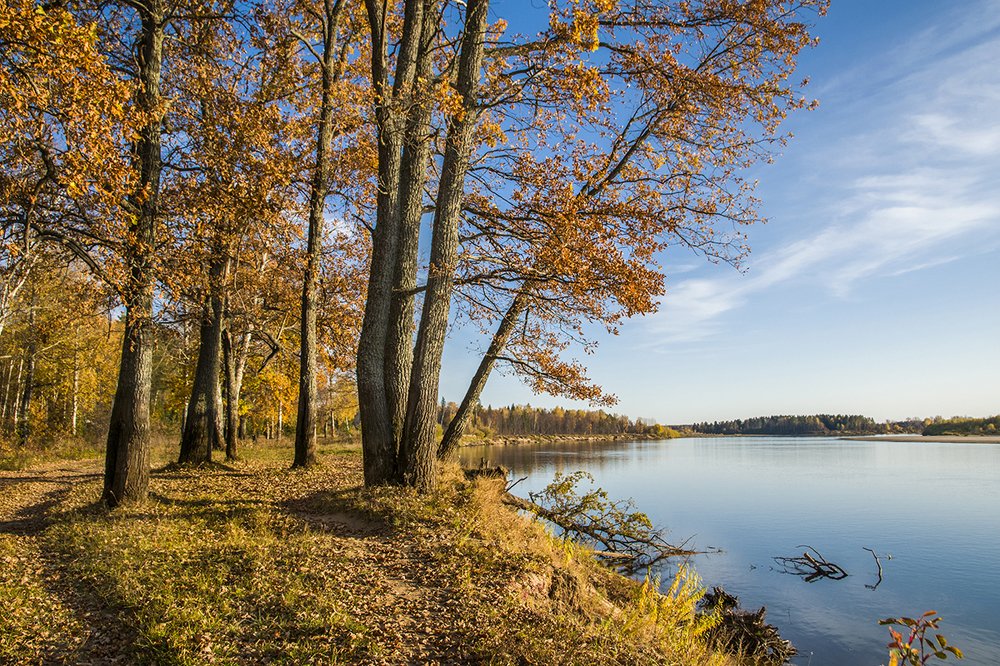 Photograph by Елена Чудиновских