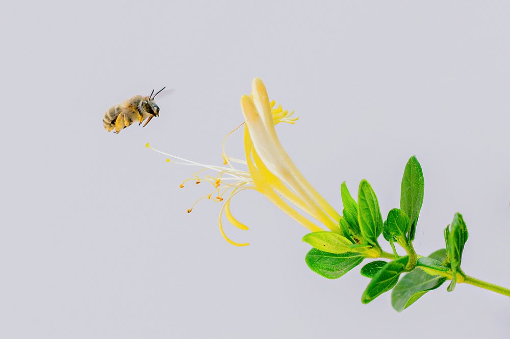 Photograph by Mahdi Sarikhani