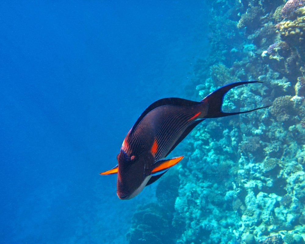 Photograph by Ирина Приходько