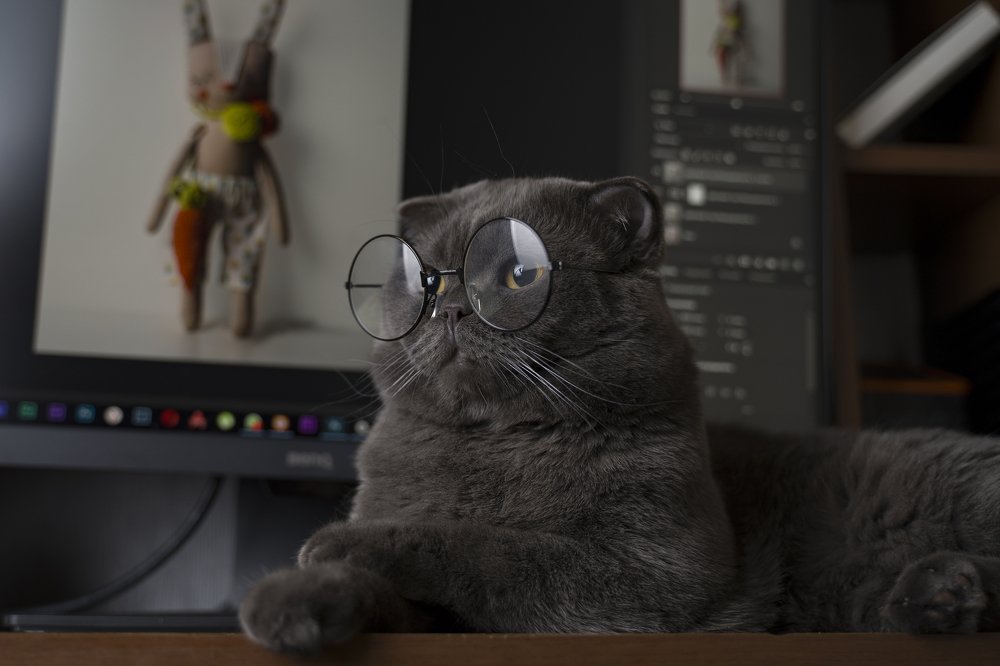 Строгий контролер процесса