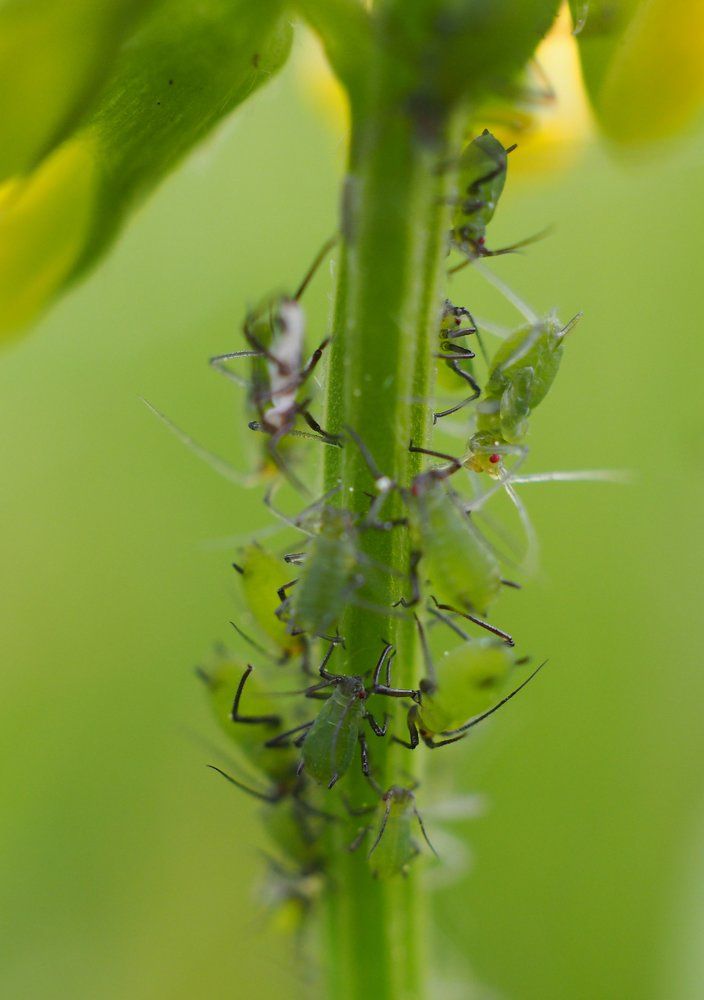 Photograph by Ольга Линк