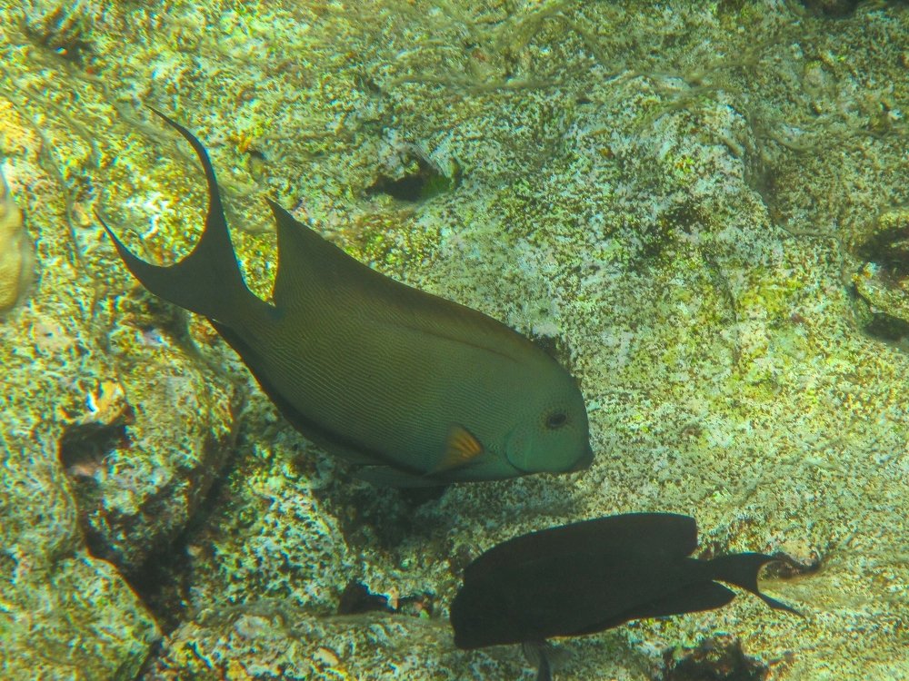 Photograph by Ирина Приходько