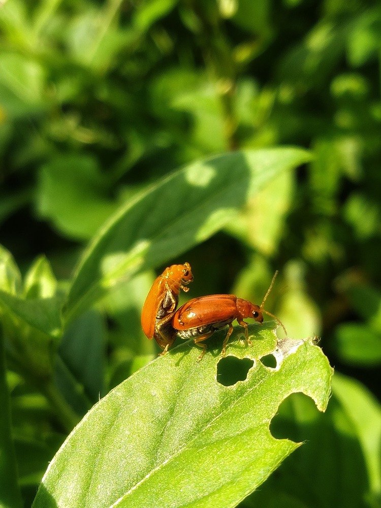 Photograph by santu dey