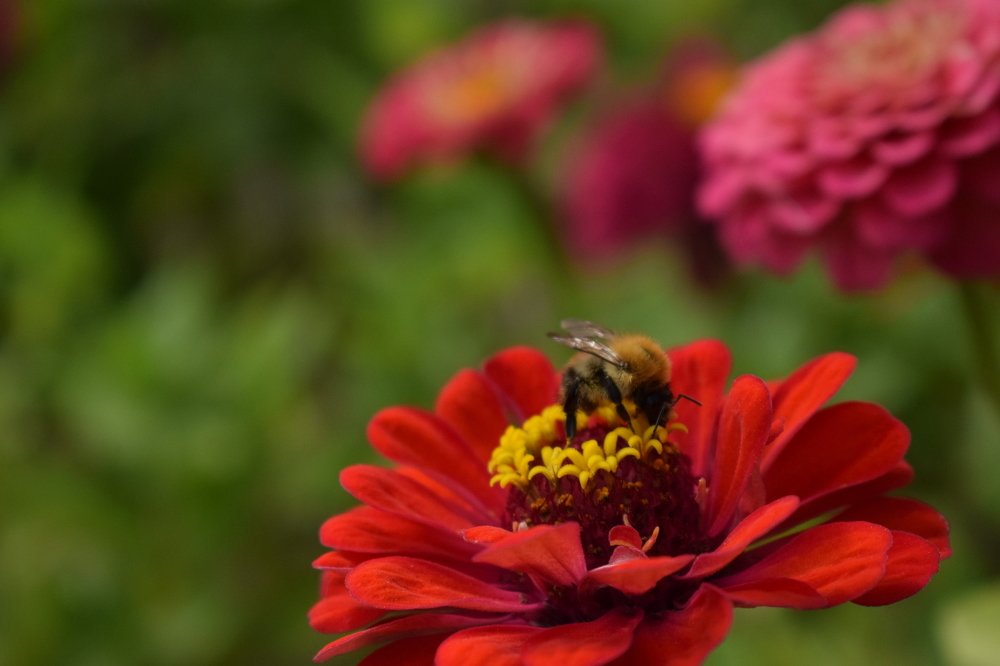 Photograph by Анастасия Нагайцева