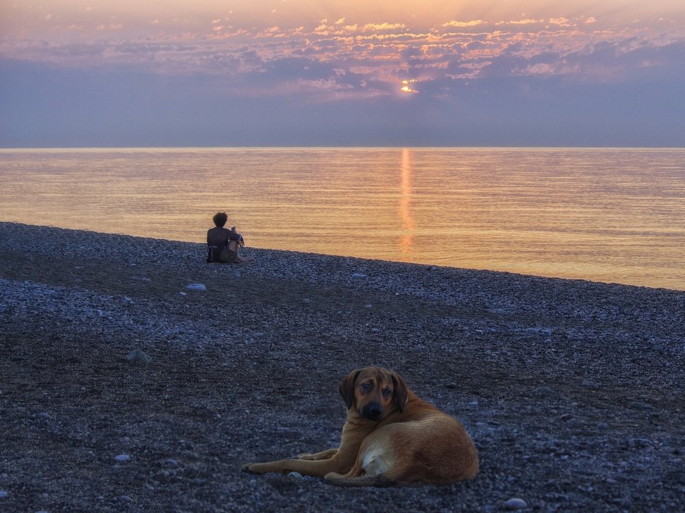 Photograph by Ирина Приходько