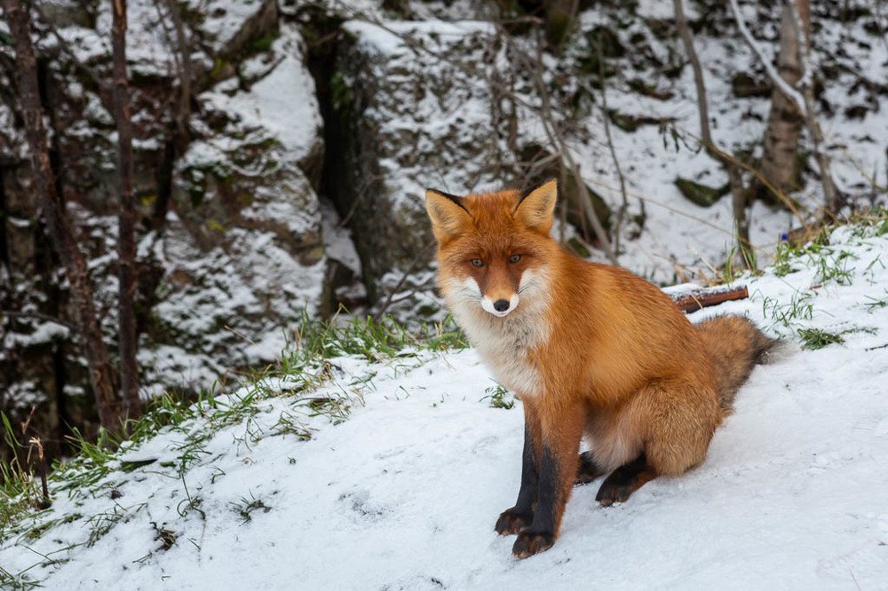 Photograph by Alfia Safuanova